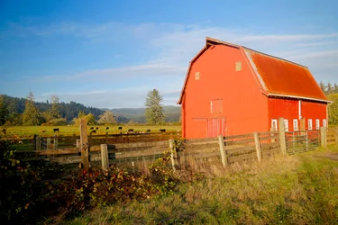 Red Barn with Cows 2